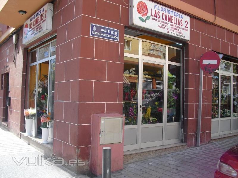 FLORISTERIA LA CAMELIA (Santa Cruz de Tenerife)