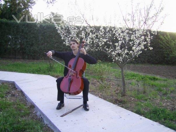 Ambiente su celebracin con el bello sonido de un cello