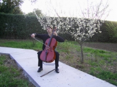 Ambiente su celebracion con el bello sonido de un cello