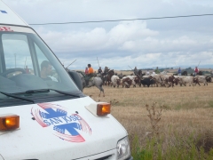 Ambulancia san jose toros: asistencia sanitaria, uvi movil, quirofano movil encierros, toros