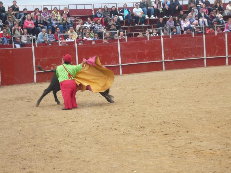 Toros, corridas, capeas, payasos en plaza de toros. Ambulancias san jose asistencia medica sanitaria