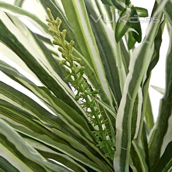 Planta artificial mata cintas chlorophytum en lallimona.com detalle1