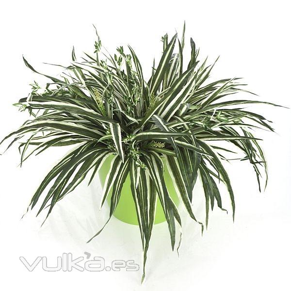 Planta artificial mata cintas chlorophytum en lallimona.com detalle2