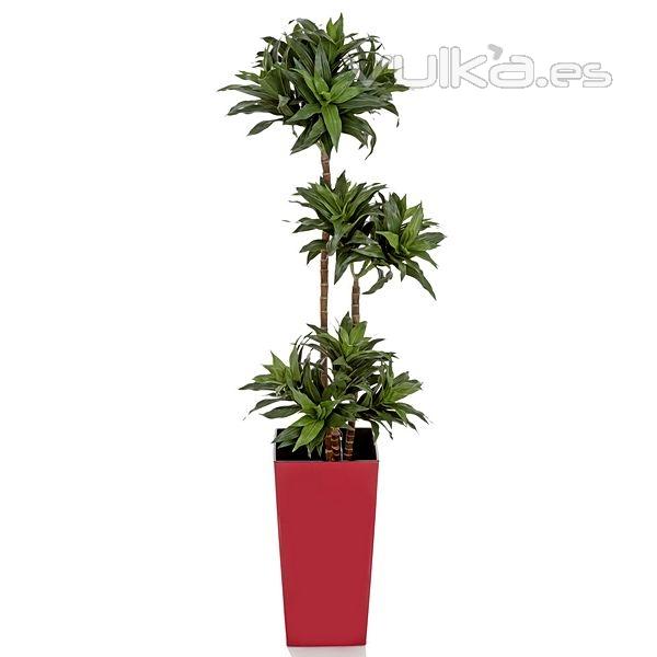 Planta artificial dracaena fragans 115 en lallimona.com detalle2