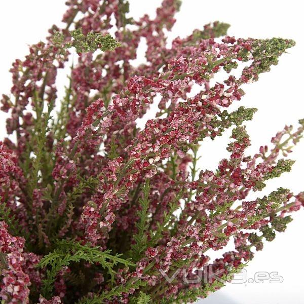 Planta artificial flores astilbe rosa 20 en lallimona.com (detalle 2)