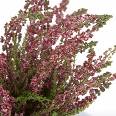 Planta artificial flores astilbe rosa 20 en lallimonacom (detalle 2)