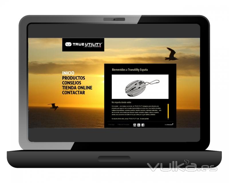 Site corporativo y tienda online para www.trueutility.es