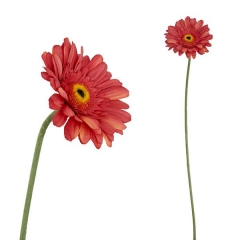 Flor artificial gerbera cereza 60 en lallimonacom (detalle 1)