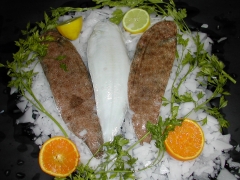 Lenguado
