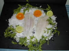 Filete de Panga en semiconserva (cajas de 6 kg).