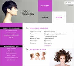 Sencilla web con autogestión por 200 EUR