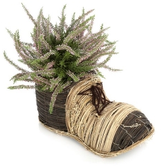 Zapato maceta mimbre bicolor 20 en lallimonacom