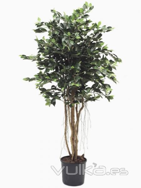 Ficus artificiales de calidad. ARBOL ARTIFICIAL FICUS TROPIC oasisdecor.com