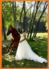 BODAS8
