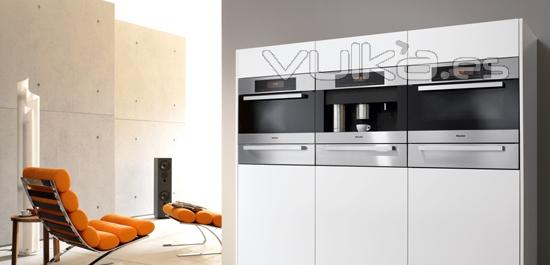 Gama Coccin Miele