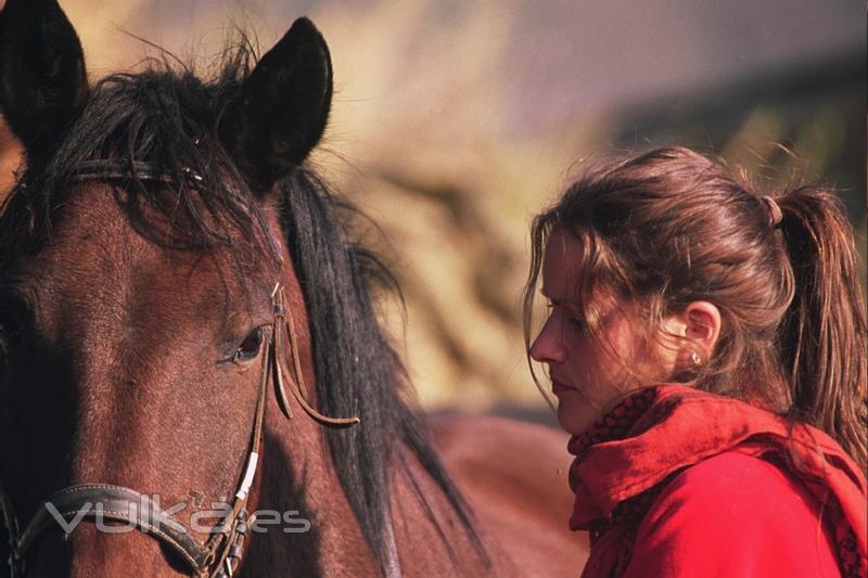 Compenetracin ginete y caballo