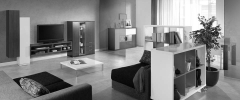 Comedor moderno de forma simple y funcional con aparador y estanteria