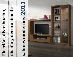 Comedor moderno:eleccion, distribucion, diseno y decoracion de salones modernos 2011-1