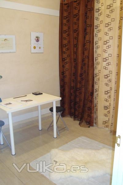 sala de tarapias naturales: reiki, healing touch y flores de bach, para animales en PET SPA MADRID