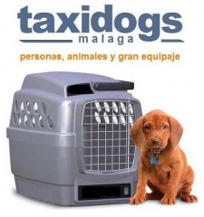 Logotipo taxidogsmalaga.com