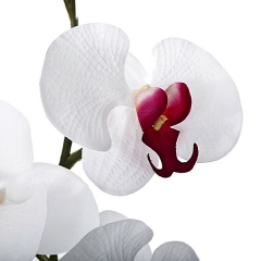 Rama artificial flores orquideas blancas cereza con hojas en lallimona.com (detalle 2)