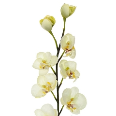 Rama artificial flores orquideas crema pequeas con hojas en lallimona.com (detalle 1)