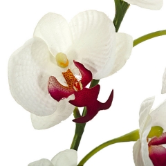Rama artificial flores orquideas blancas cereza pequeas con hojas en lallimona.com (detalle 2)
