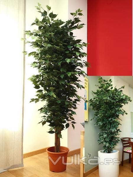 Ficus artificiales de calidad. FICUS ARTIFICIAL ESTANDAR oasisdecor.com