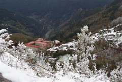 Acibros - ESCOLA GALEGA DE EDUCACION MEDIOAMBIENTAL S.L. - Foto 6