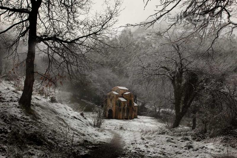 Lillo Nevado - Oviedo