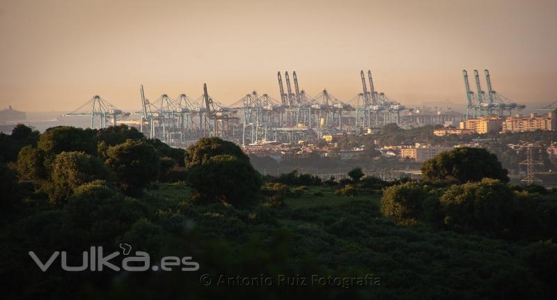 El bosque de Acero. Puerto de Algeciras (Cádiz)