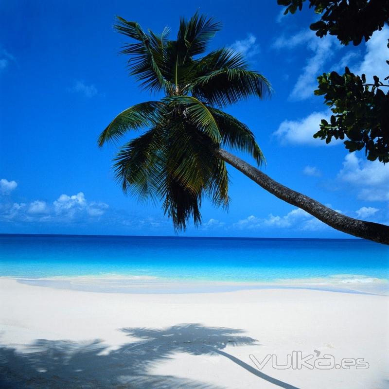 RELAJATE EN UNA PLAYA DE CANCUN