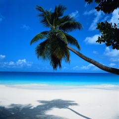 Relajate en una playa de cancun