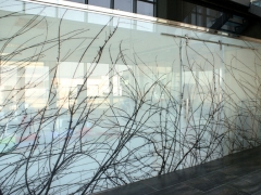 Separador mural de vidrio laminado con insercin de impresin digital