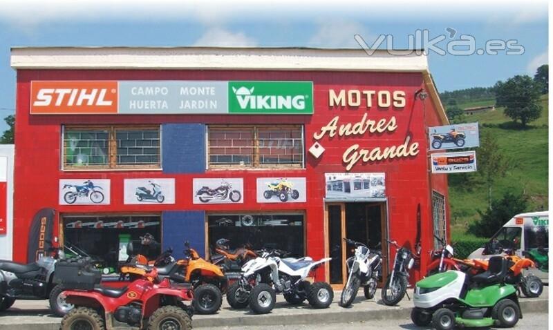 MOTOS ANDRES GRANDE