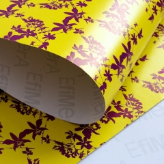www.efimeracaenis.com