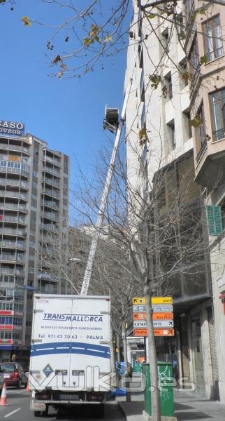 elevador grande y camión pequeño