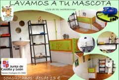 Instalaciones de aseo y cepillado