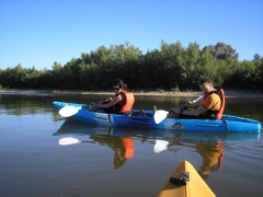 Descensos guiados en piragua por el rio ebro