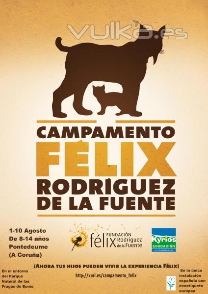 Aquí toda la info www.xurl.es/campamento_felix 