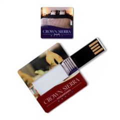 Memoria usb formato tarjeta cuadrada disponible desde 1 hasta 16gb refdtzcard21