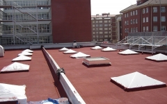 YM PROYECT: Pinturasy Aislamientos
