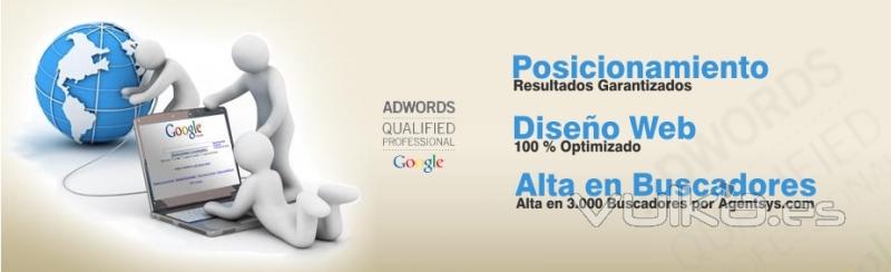 Posicionamiento, Campaas On-Line, Alta en 3000 Buscadores, Agentsys