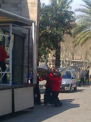 Transporte de tiburon