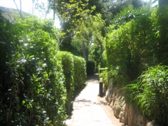 Foto 220 ornamentación de jardines en Valencia - Jardineria mes Natur