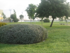 JARDINERIA MES NATUR