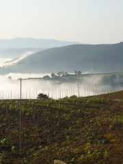 Bodegas Sel D'Aiz - Foto 4