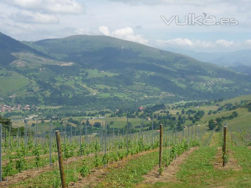 Bodegas Sel D'Aiz