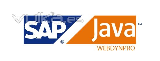 hacemos ABAP & Java Webdypro