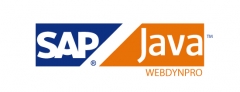 Hacemos abap & java webdypro